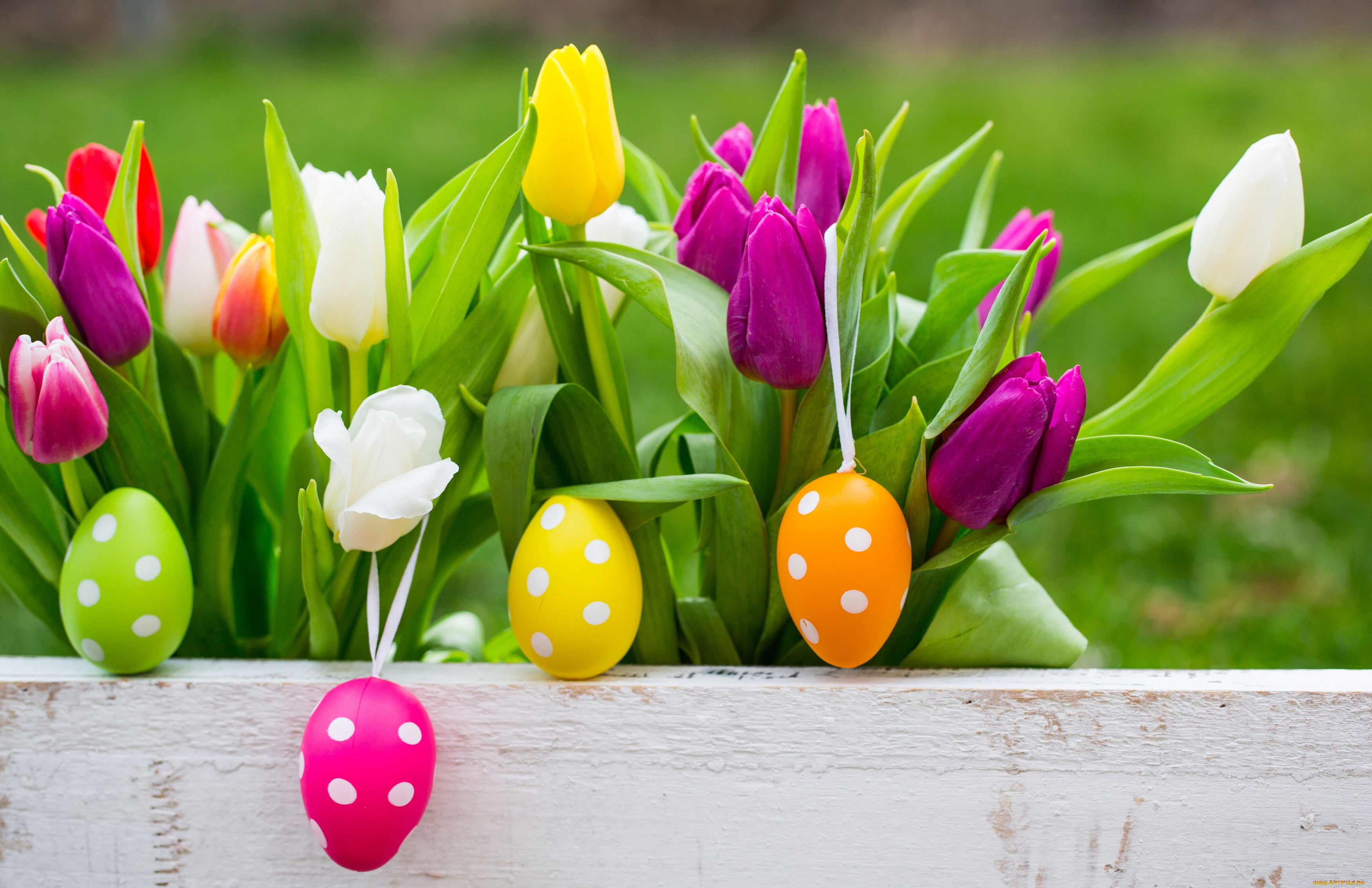 , , , , easter, happy